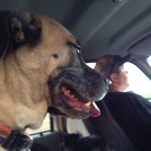 Meet your Posher, Isabella